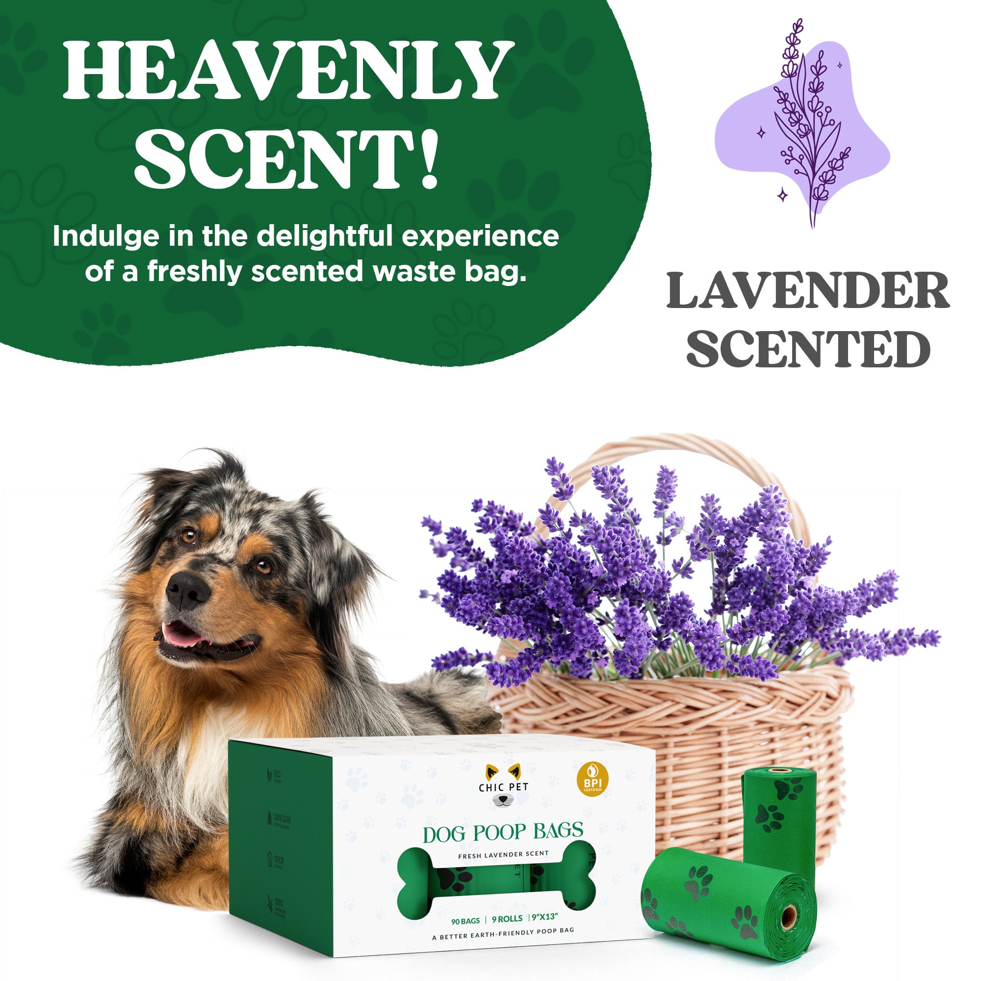 Premium Lavender Scented Poop Bags, All-Natural